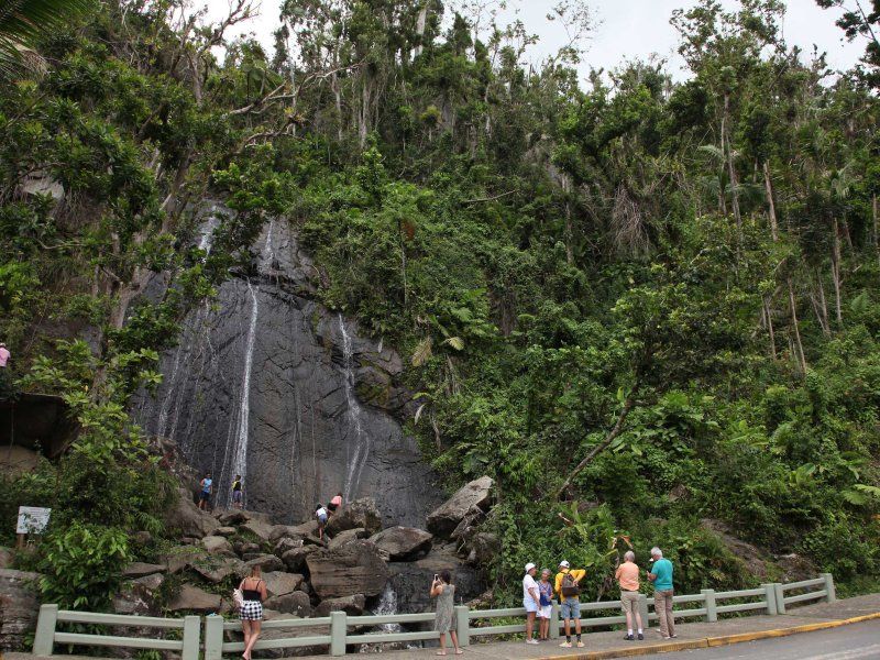 Hiking El Yunque National Forest