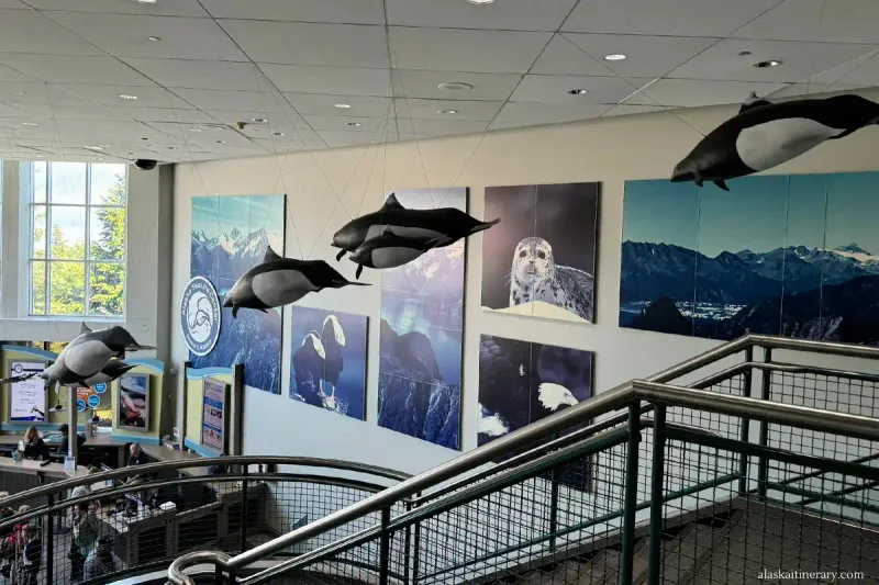 Alaska SeaLife Center Exploration