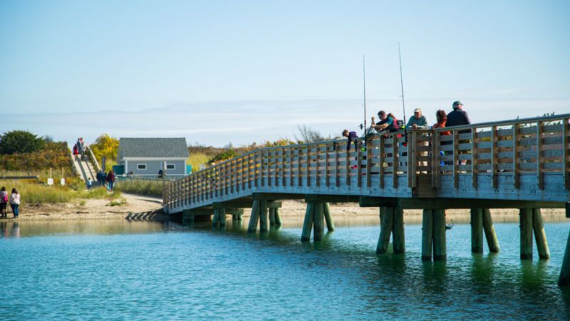 Footbridge Beach Exploration