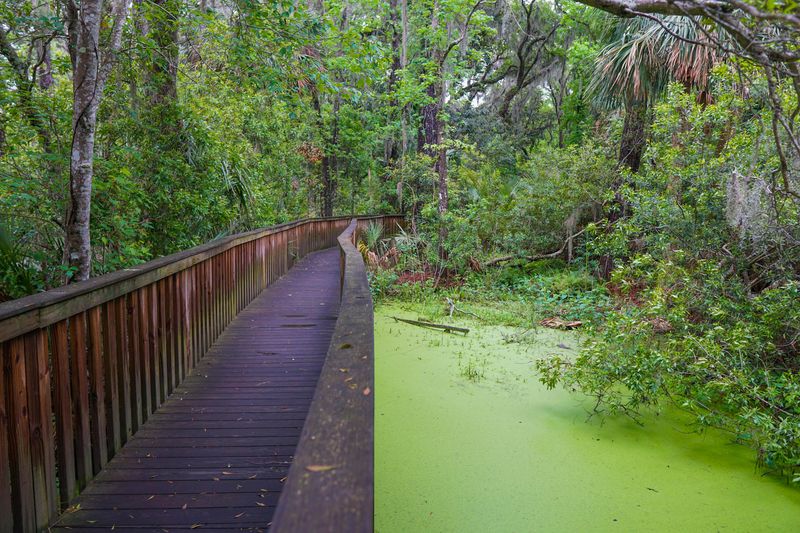 Sea Pines Forest Preserve’s peaceful trails