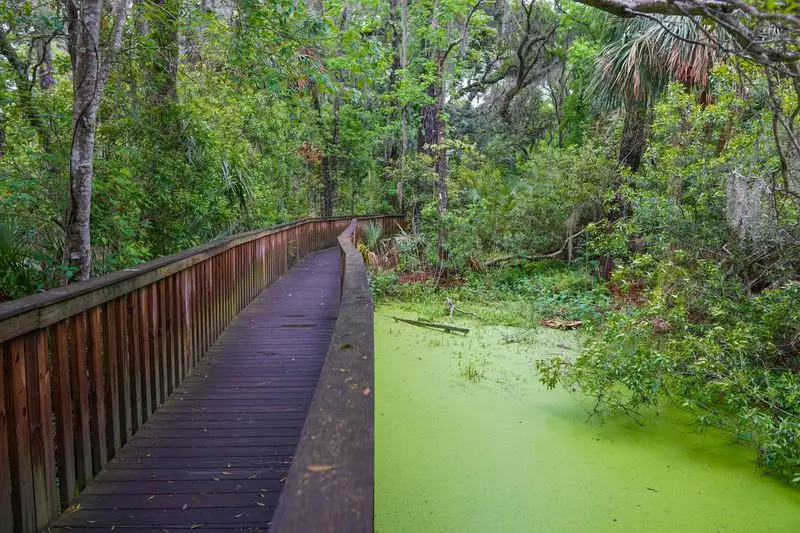 Sea Pines Forest Preserve’s peaceful trails