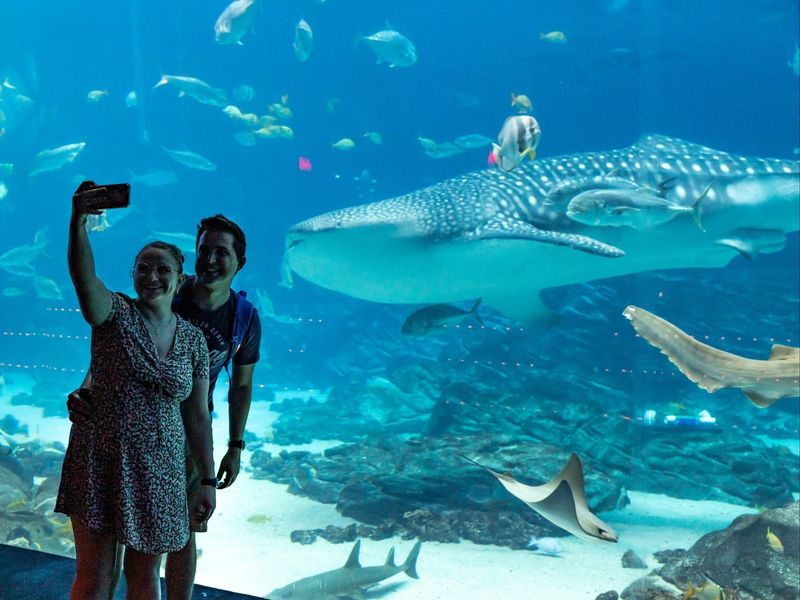 Georgia Aquarium (Atlanta)