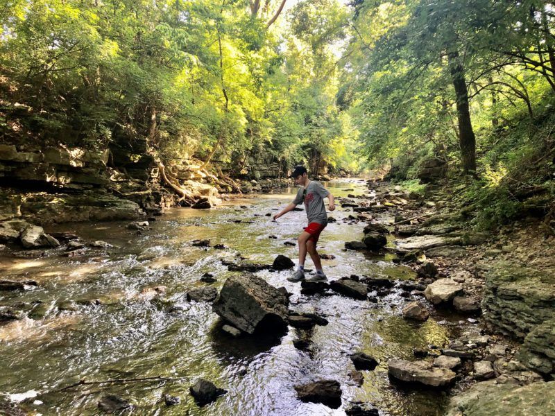 Family Hiking & Waterfall Hunts