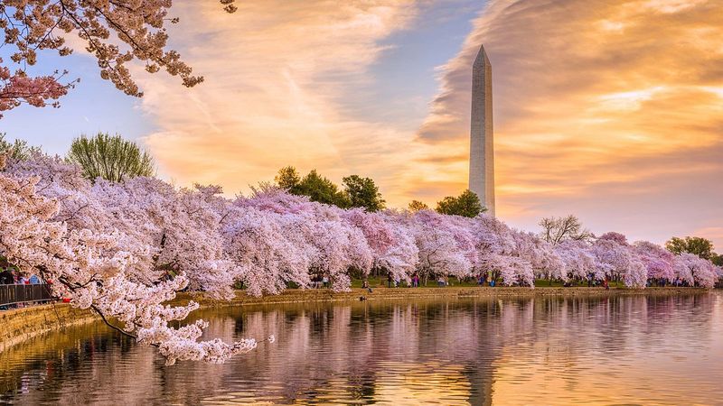 Washington, D.C.