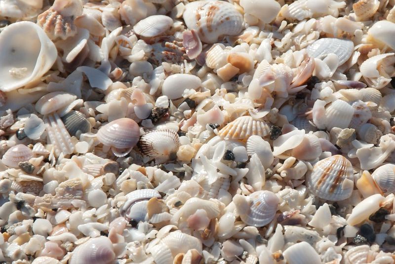 Sanibel Island, Florida