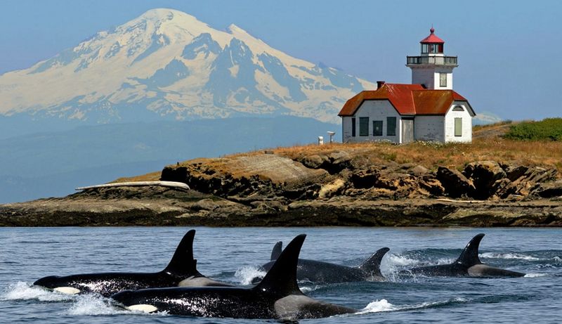 San Juan Islands, Washington