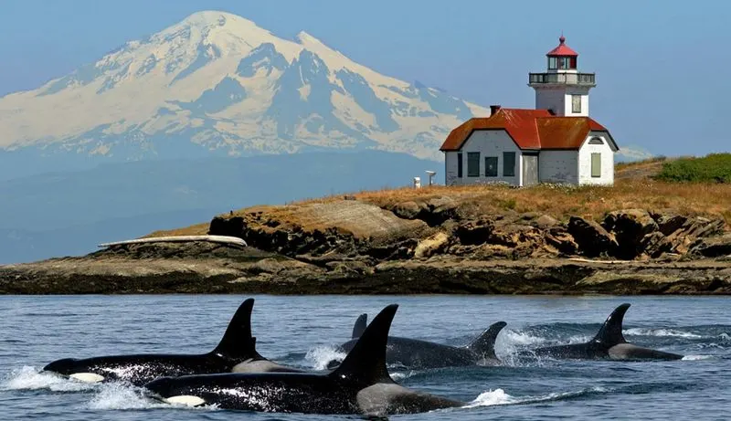 San Juan Islands, Washington