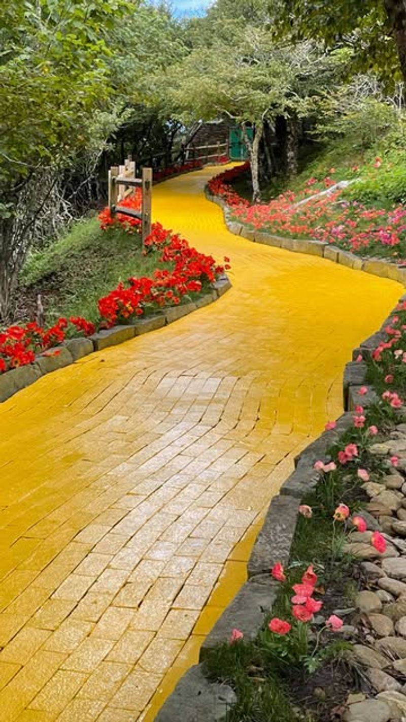 The Land of Oz, North Carolina