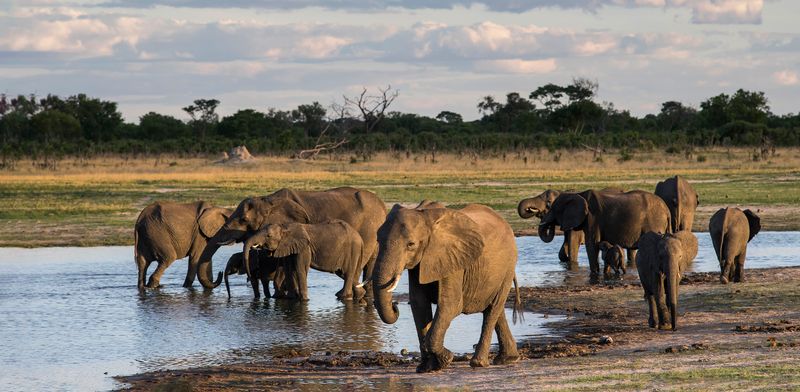 Hwange National Park, Zimbabwe