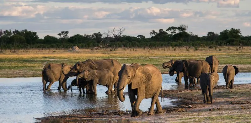 Hwange National Park, Zimbabwe