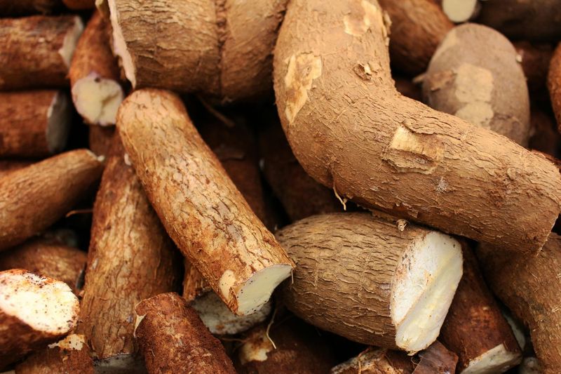 Cassava (Africa, South America, Asia)