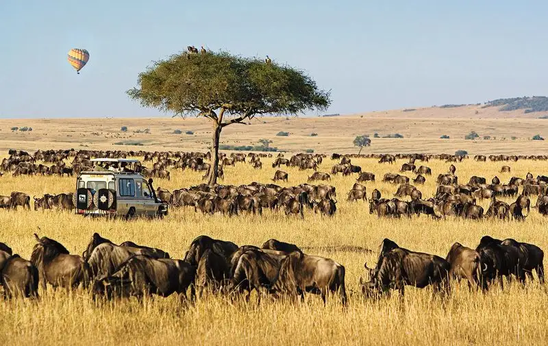 Maasai Mara National Reserve, Kenya