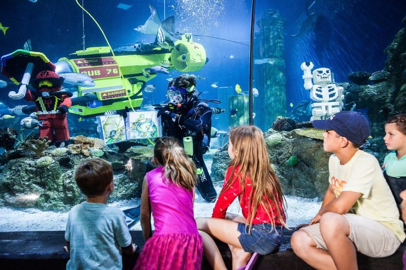 SEA LIFE® Aquarium