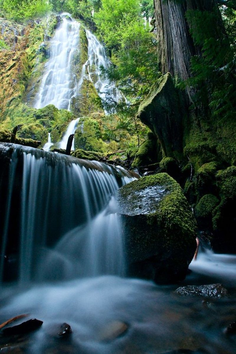 Eugene, Oregon