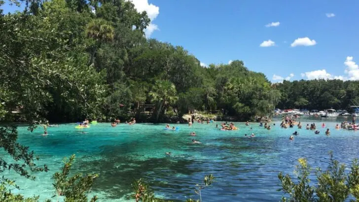 Florida’s Second-Largest Lake Sits Quietly Between Orlando and Jacksonville With Wildlife and Relaxation