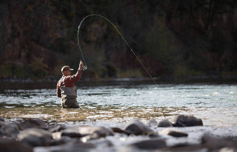 Kootenai River & Pintler Creek Angling
