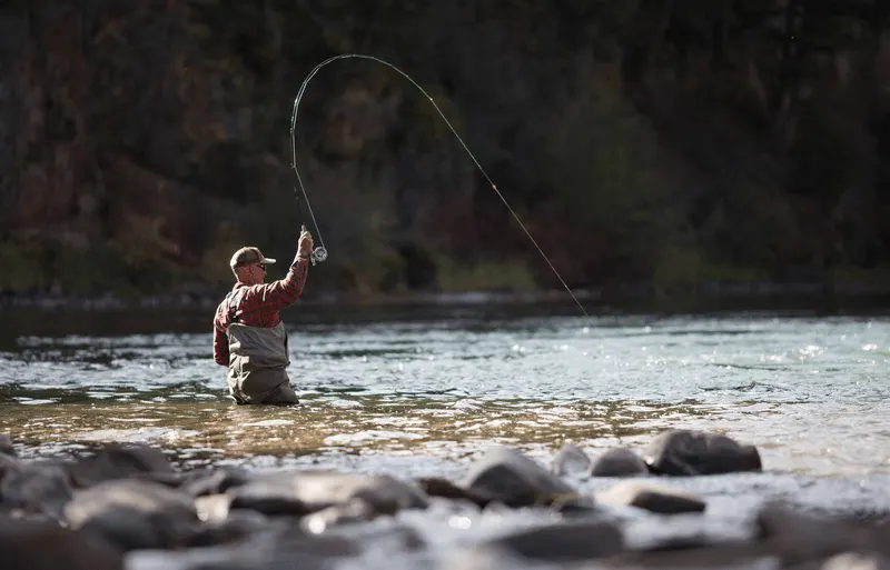 Kootenai River & Pintler Creek Angling