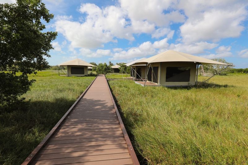 Everglades National Park (Flamingo Campground)
