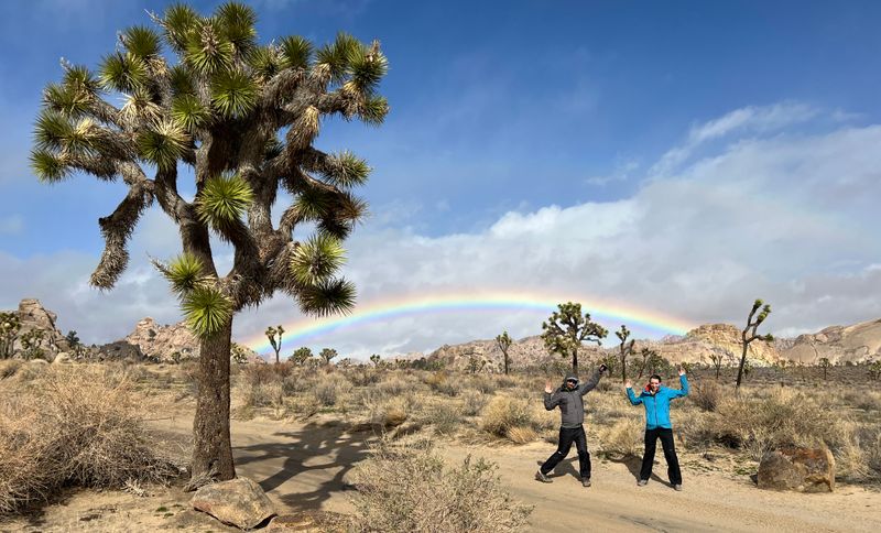 Mojave National Preserve (NV)