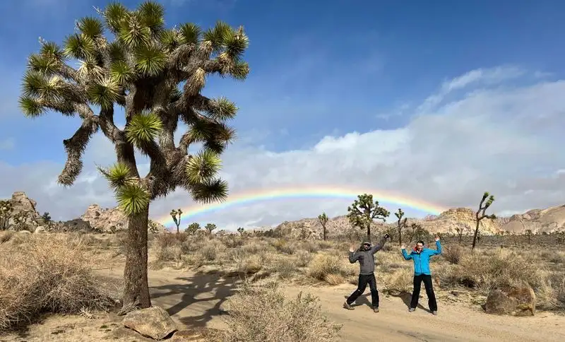 Mojave National Preserve (NV)