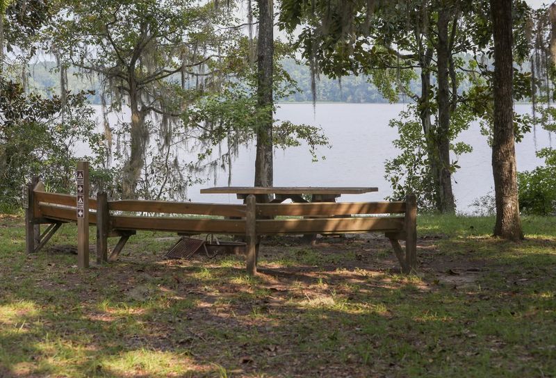Hidden Lake in Withlacoochee State Forest
