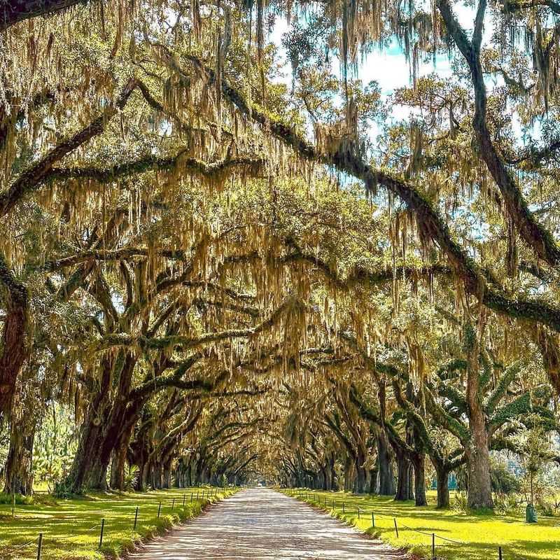 Savannah, Georgia