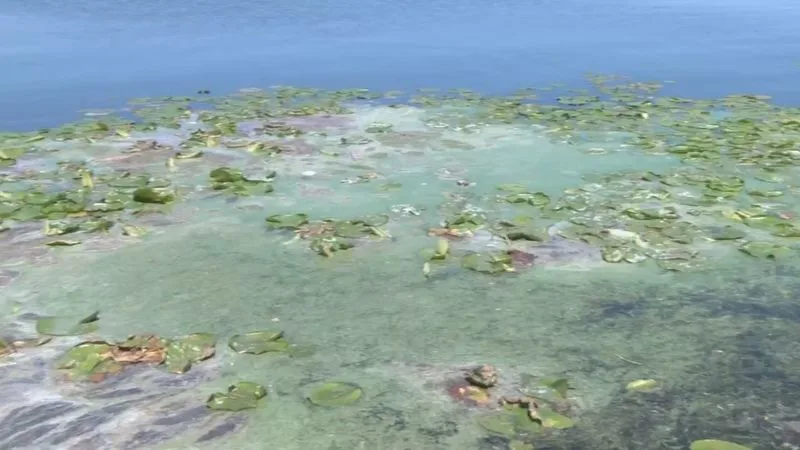 Lake Winnebago, Wisconsin