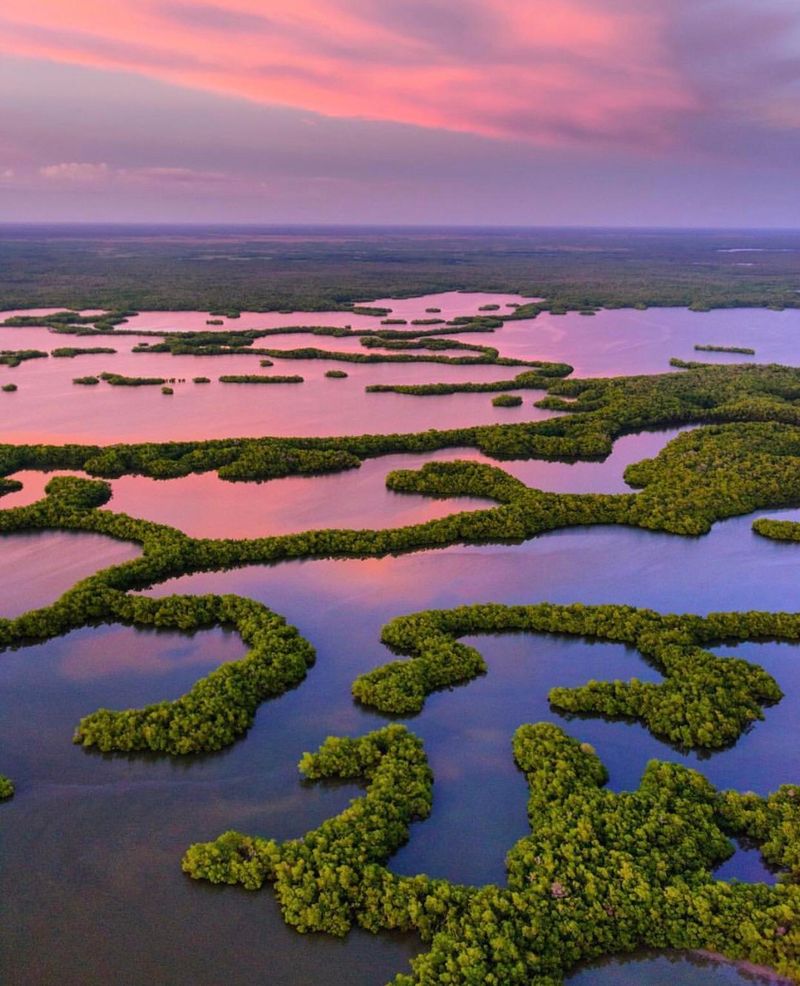 Everglades National Park, Florida