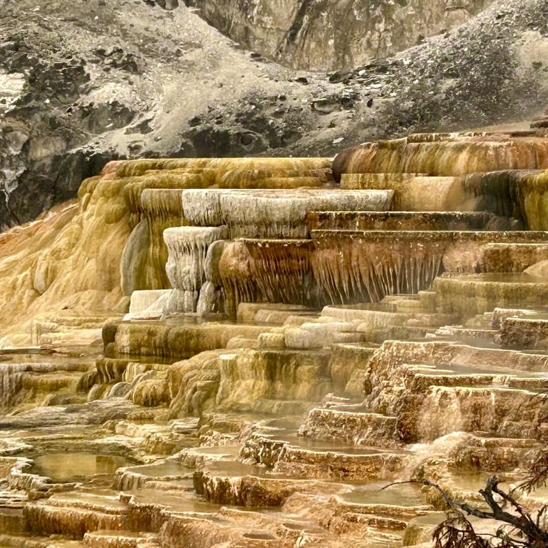 Mammoth Hot Springs