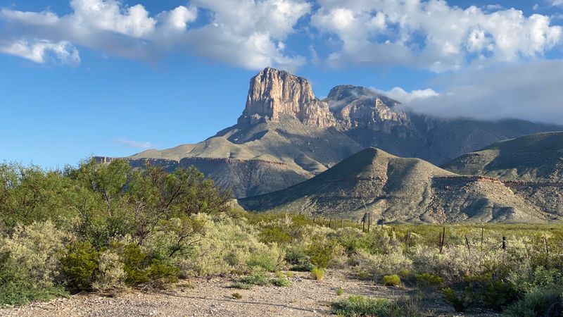 Guadalupe Mountains National Park, TX – Desert Blooms and Canyons