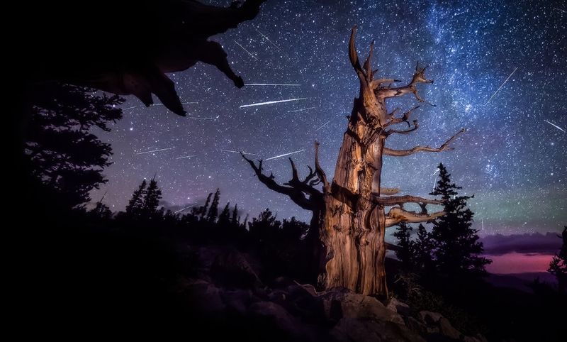 Great Basin National Park, Nevada