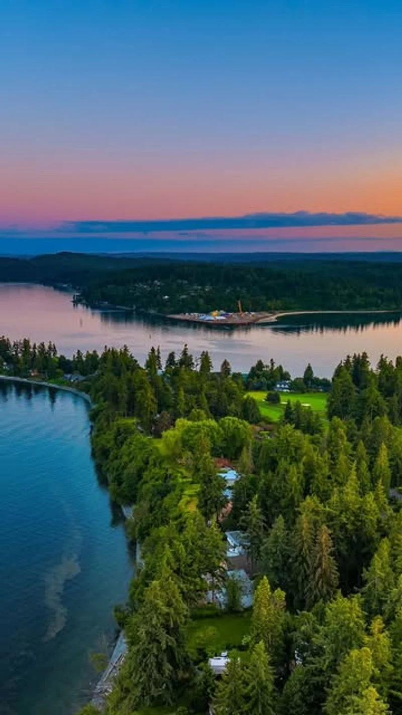 Madrona Trees Peeling at the Shoreline