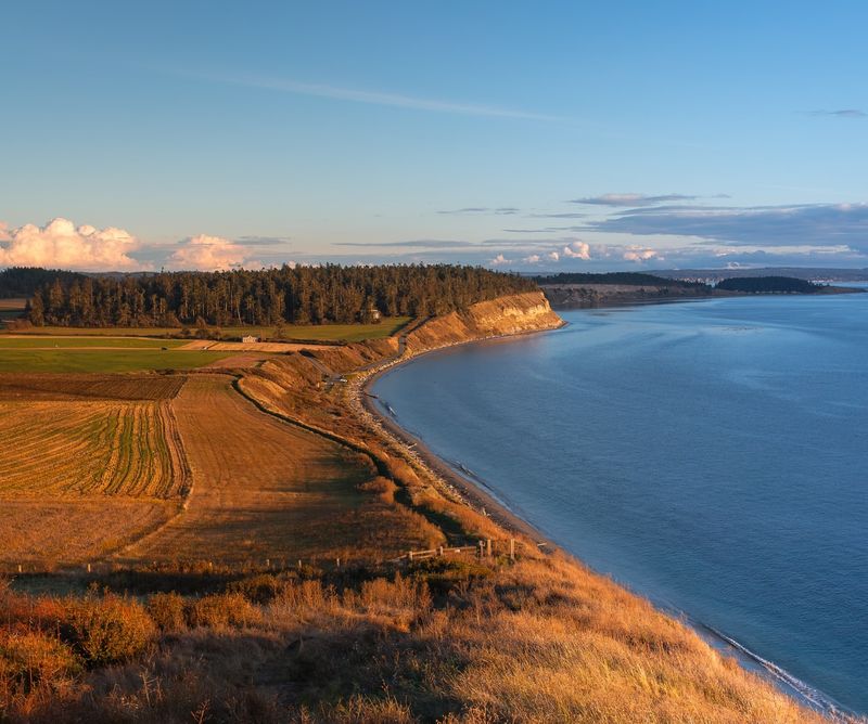 Whidbey Island – Beachside Flora and Forest Trails
