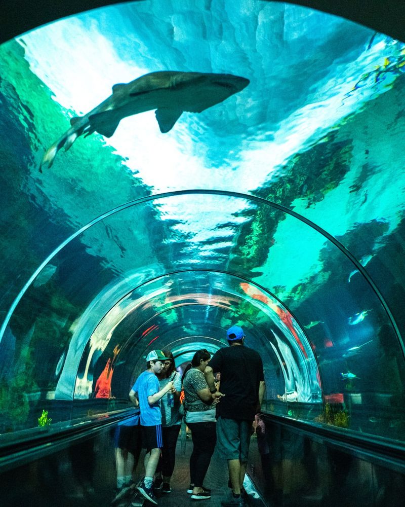 SeaWorld San Diego