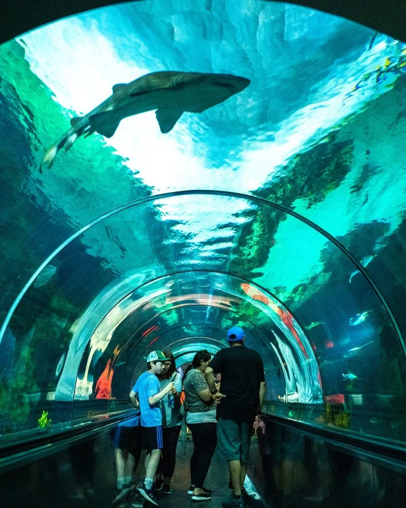 SeaWorld San Diego