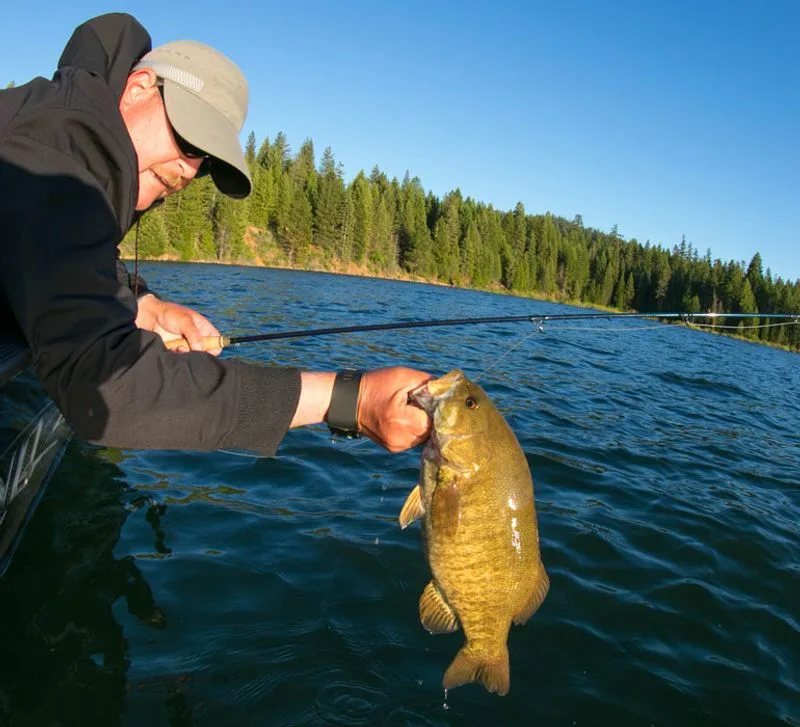 Excellent Fishing Year-Round