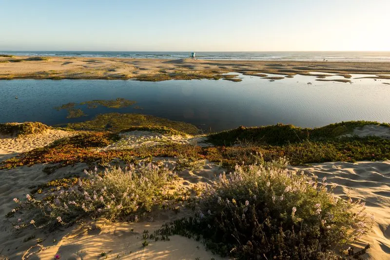 Dig your toes into the sand at Pismo State Beach