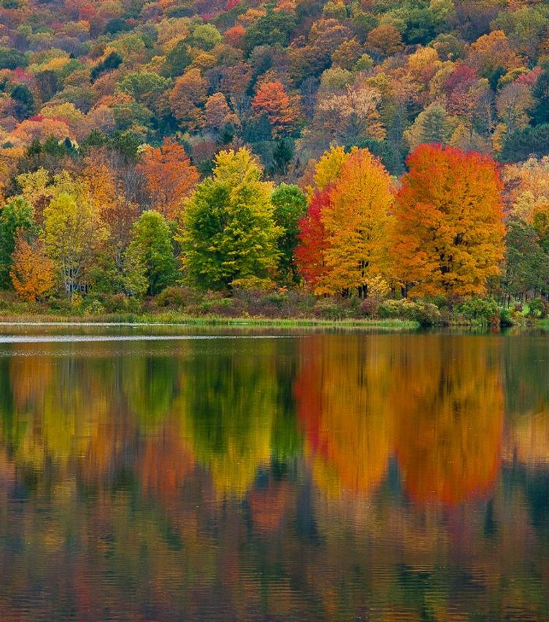 Allegany State Park