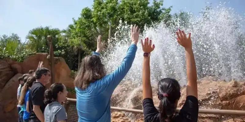 Take Advantage of Free Water