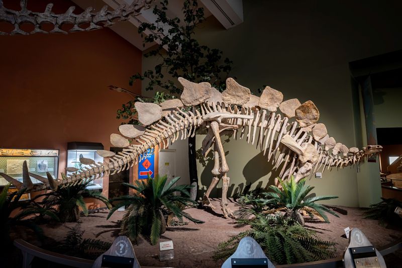 New Mexico Museum of Natural History and Science (Albuquerque)