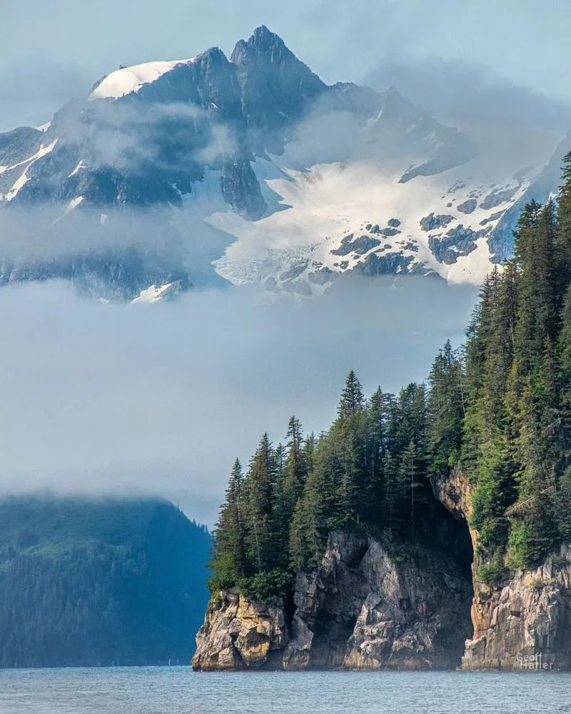 Red Elderberry Shrubs in River Valleys