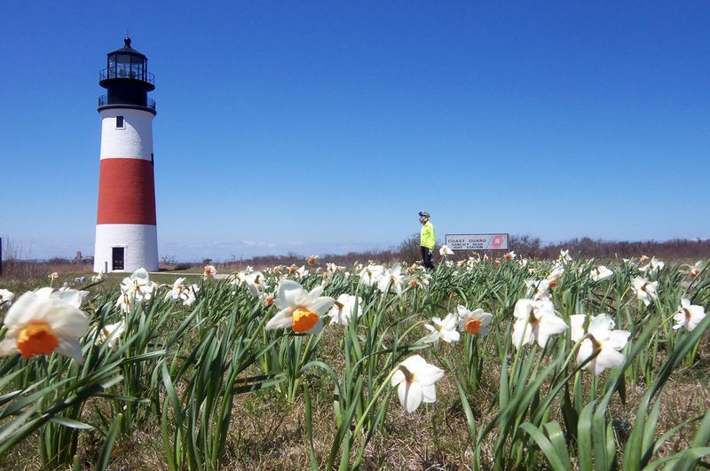Bike Around Cobblestoned Streets and Lighthouses