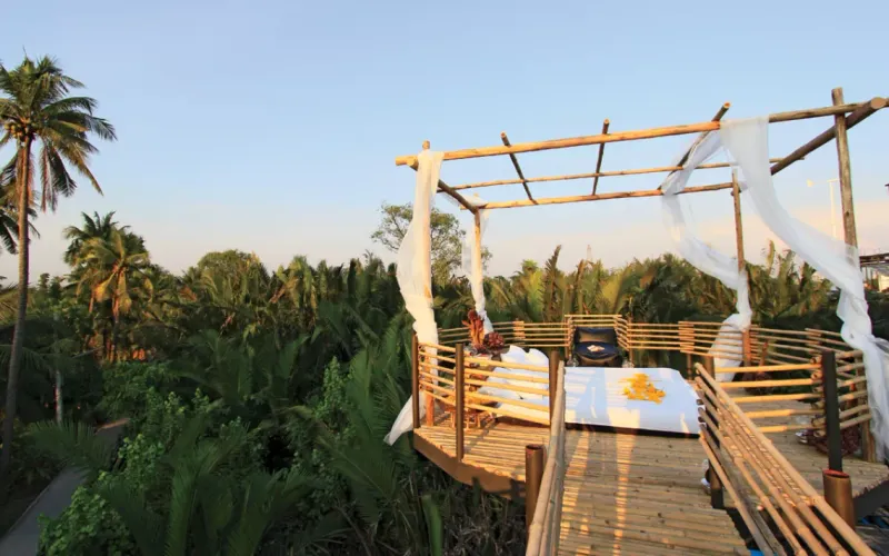 Bangkok Tree House