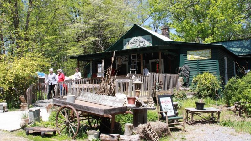 Wildflower Cafe
