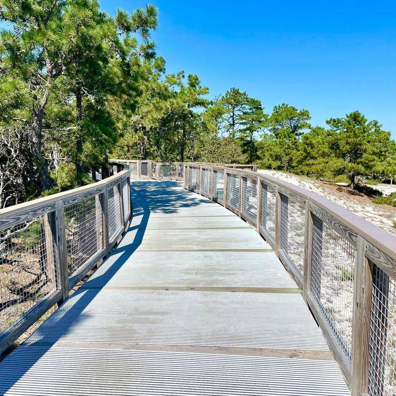 Cape Henlopen State Park: Nature and History Side by Side