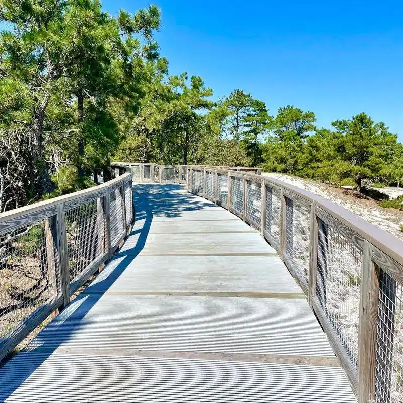 Cape Henlopen State Park: Nature and History Side by Side