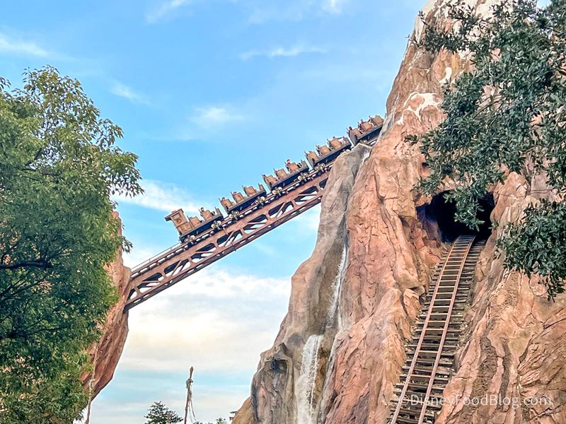 Ride Variety and Thrill Levels