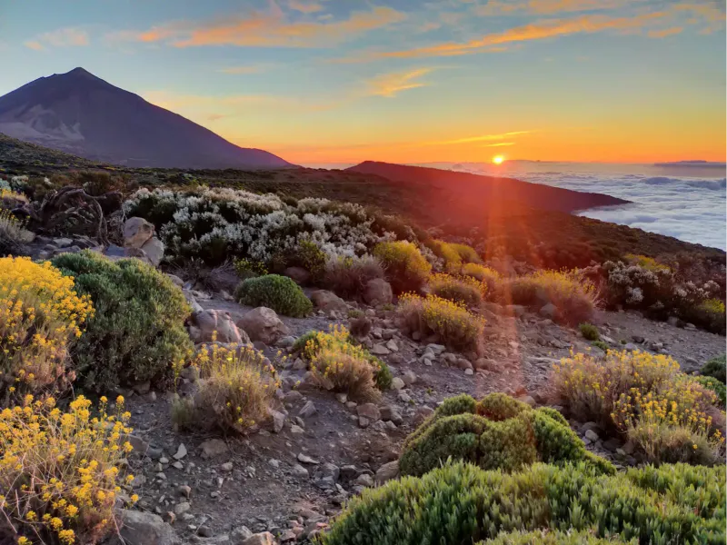 Tenerife’s Teide National Park, Spain