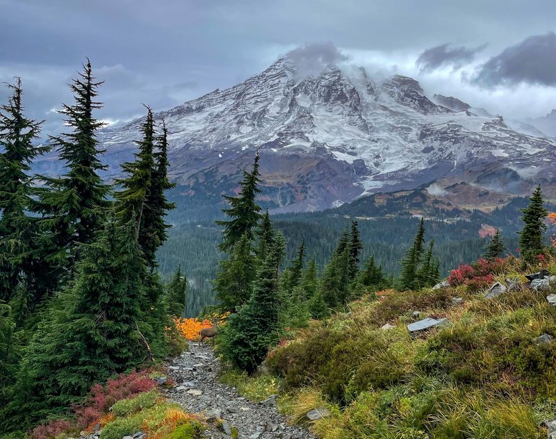 Mount Rainier, Mount Rainier National Park