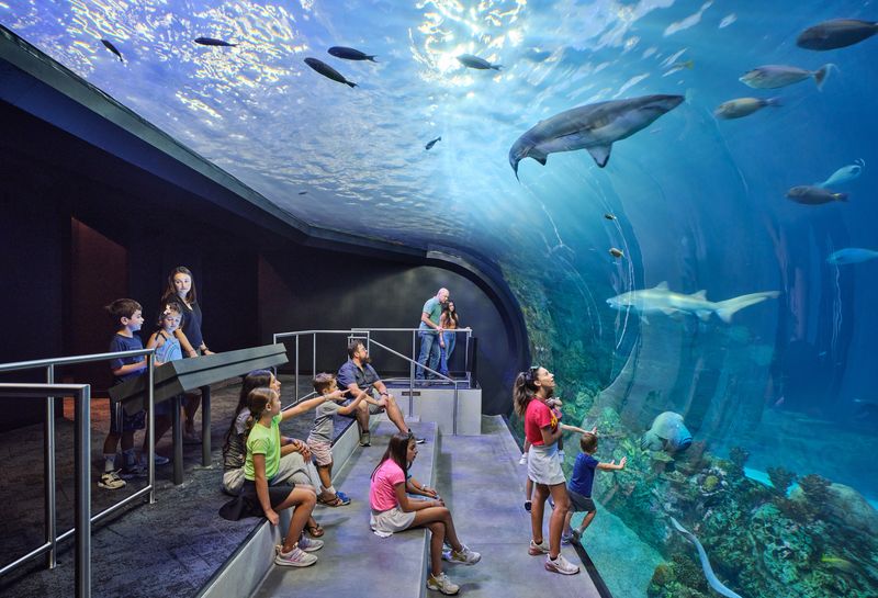 Kansas City Zoo